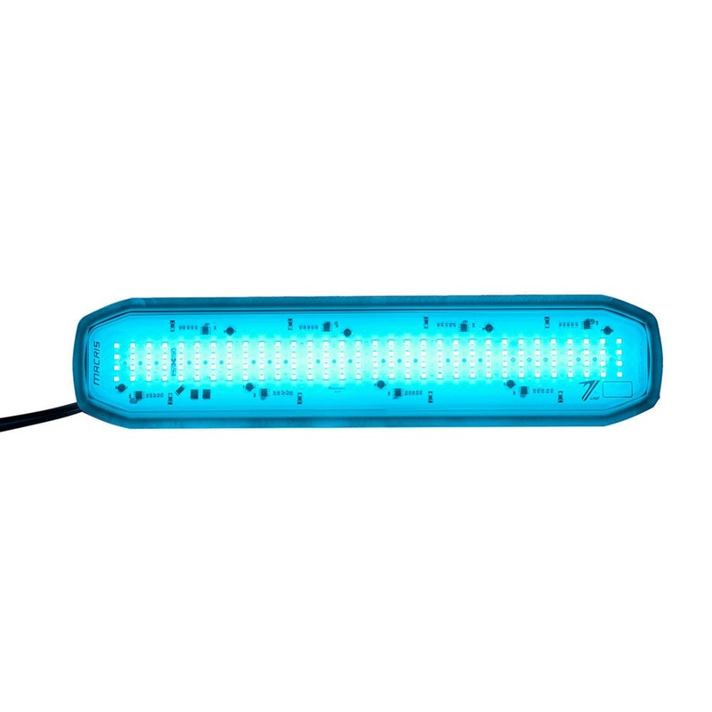 Azure Lamp
